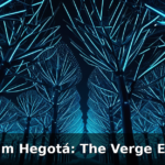Ethereum’s Road to the Verge: Why the Hegotá Upgrade and Verkle Trees are the Next Big Catalyst in 2026