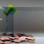 Tax Saving ELSS Funds: Section 80C Benefits Explained